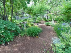 Виды цветочного оформления участка