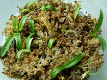 Сеянцы орхидей