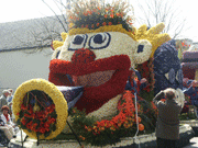 Парад  цветов в Голландии