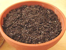 Субстрат для молодых растений