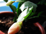 ��������� ������