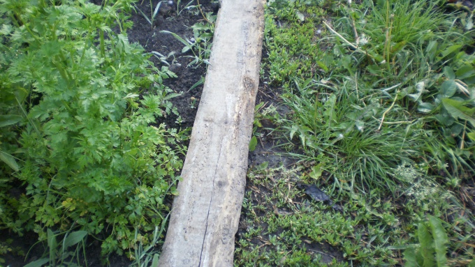 Ловушка для слизней Ловушка для слизней